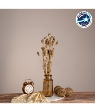 GloboStar® WILDCARROT 36546 Αποξηραμένο Φυτό Άγριο Καρότο - Μπουκέτο Διακοσμητικών Κλαδιών Μπεζ Υ60cm - Σετ 10 τμχ